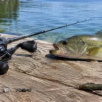 Carolina rig parts on a dock, bullet weight, swivel and craw plastic, beside a bass and a casting reel.